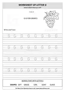worksheet G